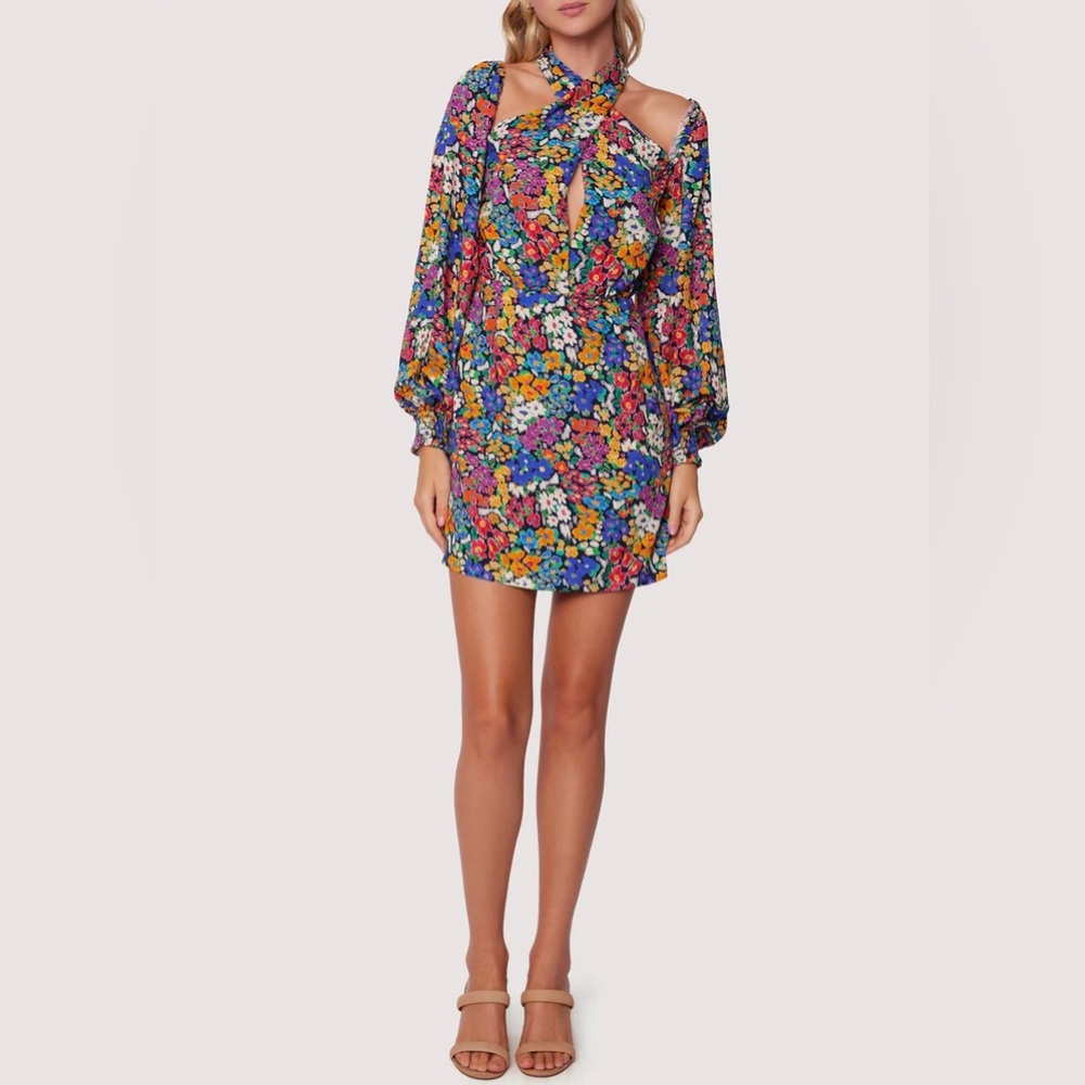 NWT Lost + Wander Renoir's Terrace Mini Dress Size XS